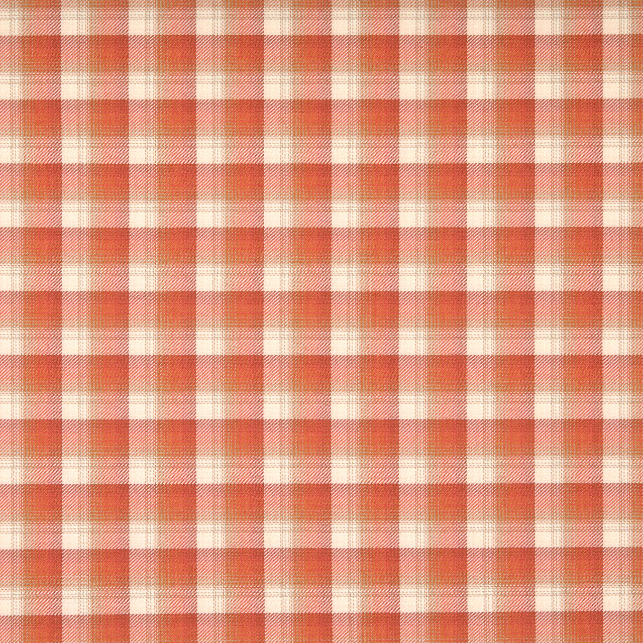 Rhubarb