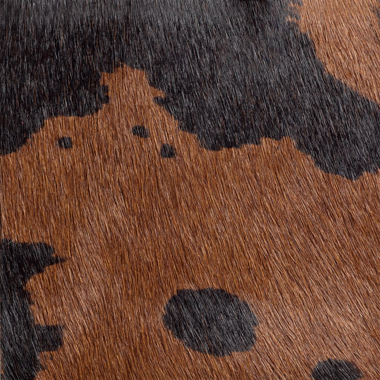 Black/brown