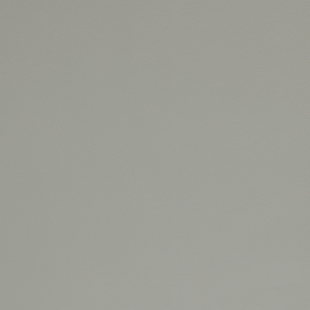 Tundra