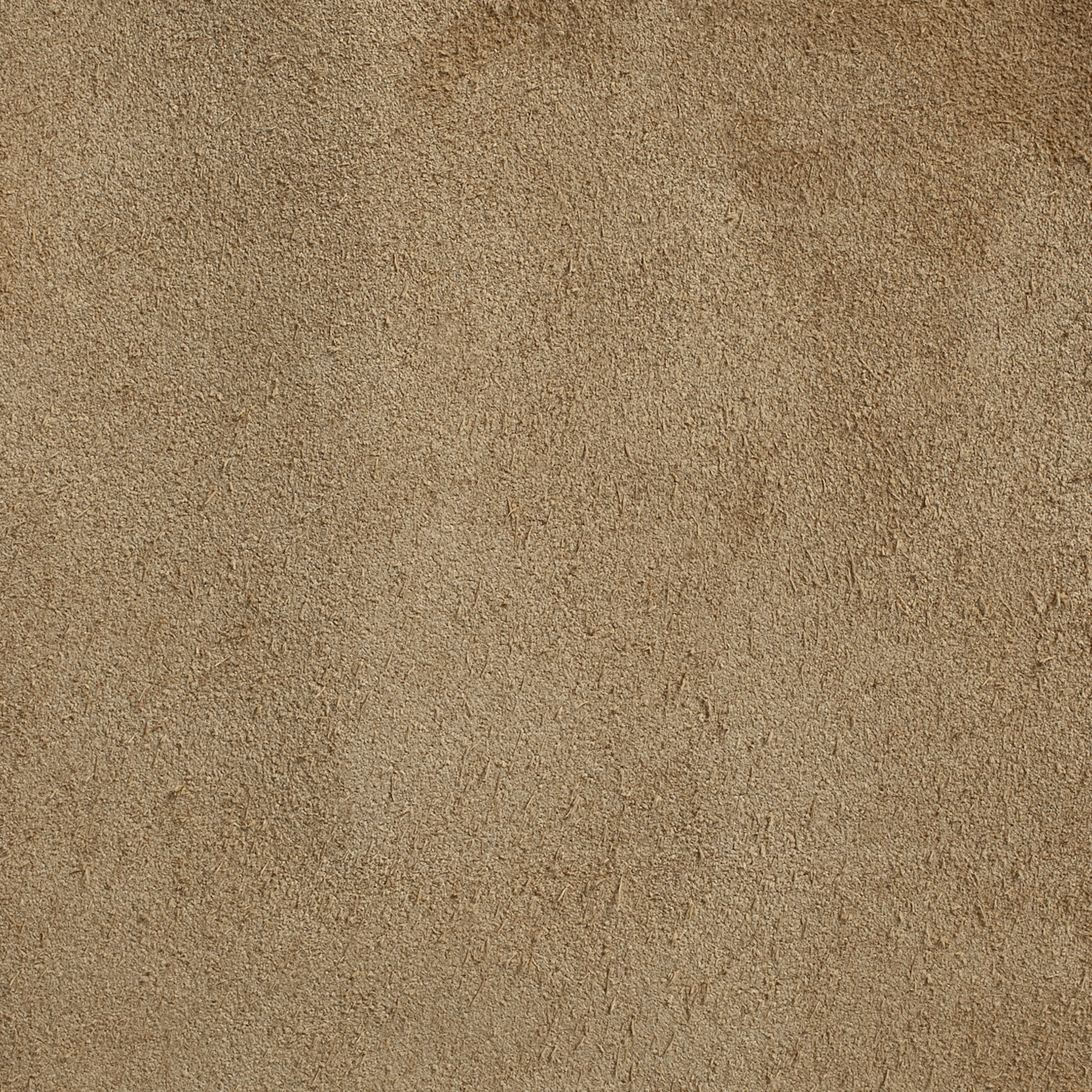 Paper Bag