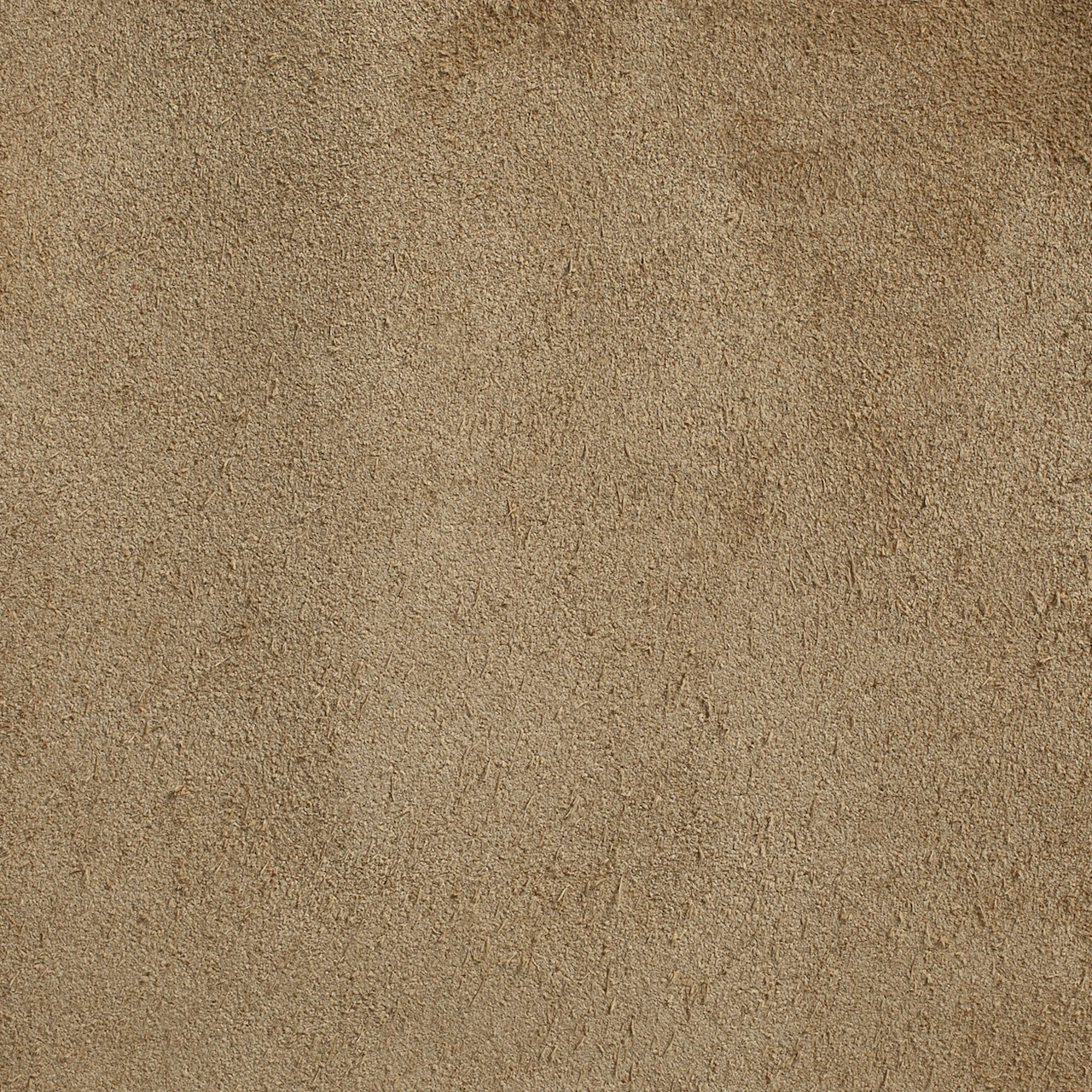 Paper Bag