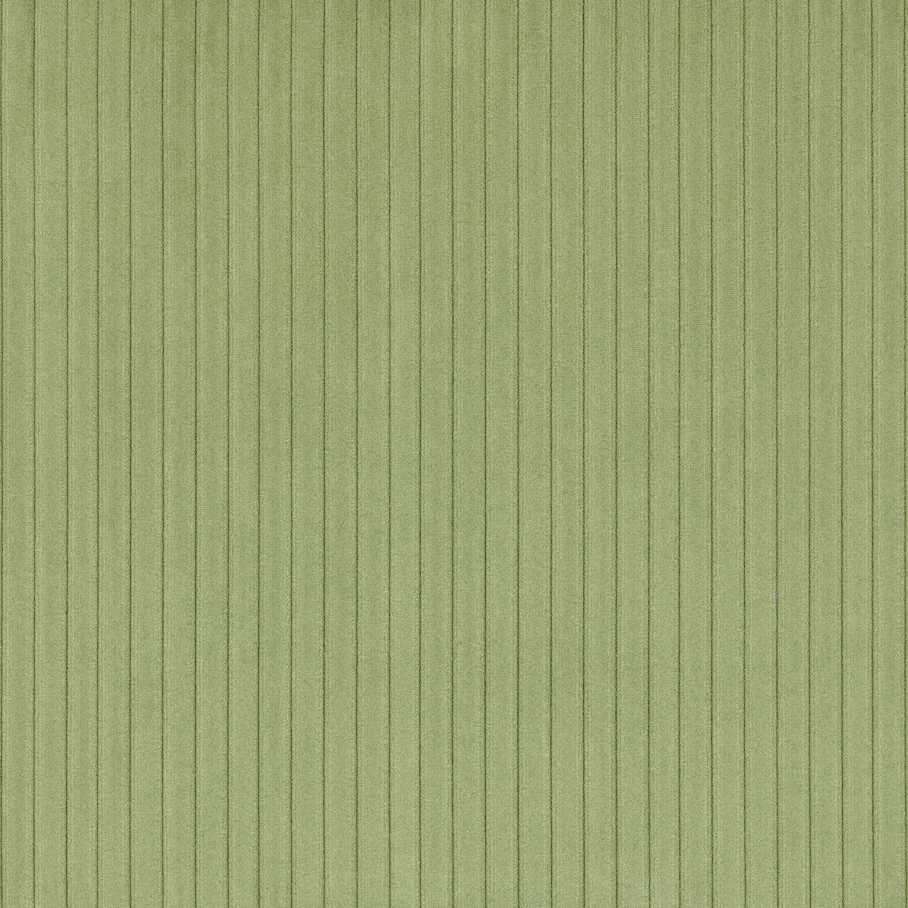 Celadon