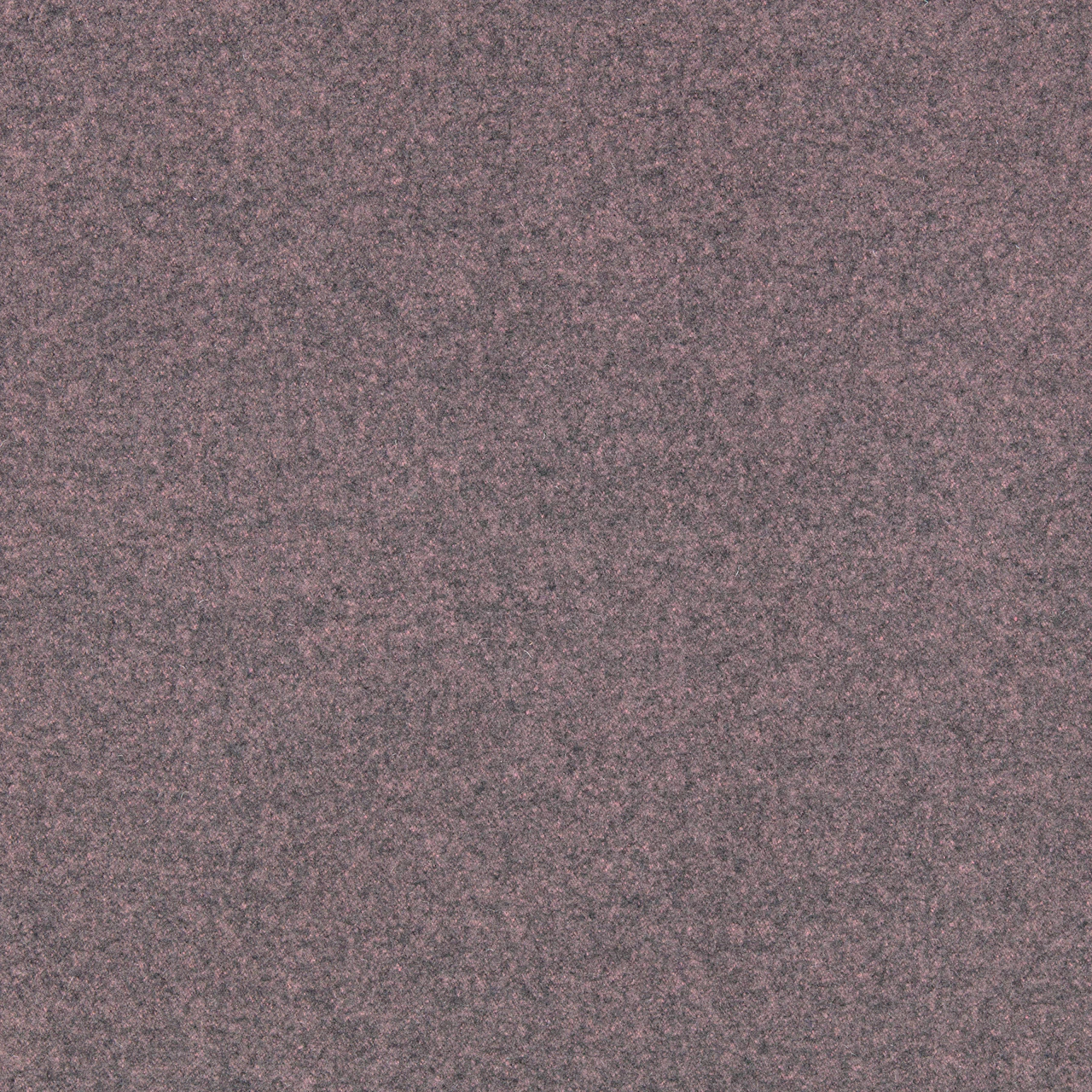 Celluloid