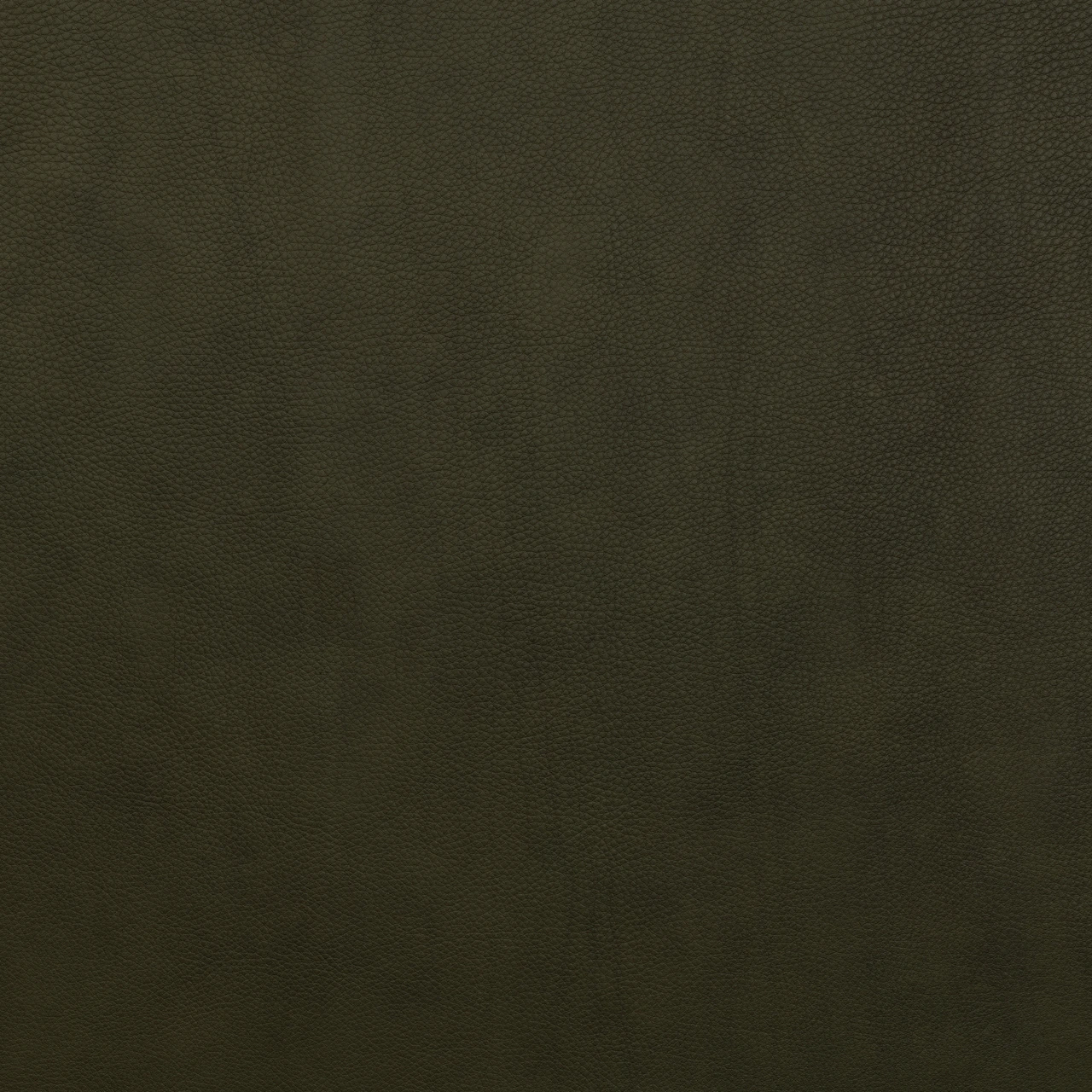 Nori