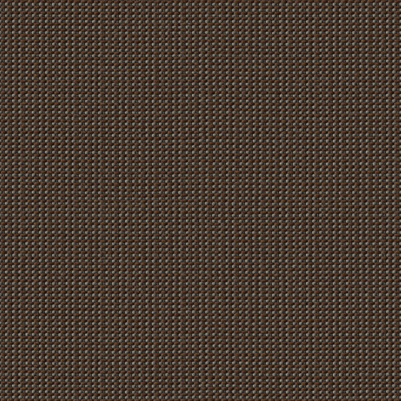 Carob
