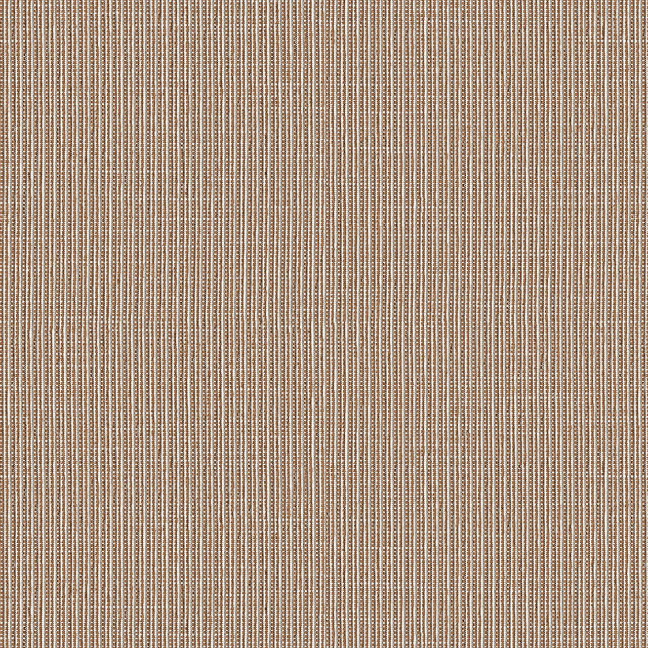 Sapwood