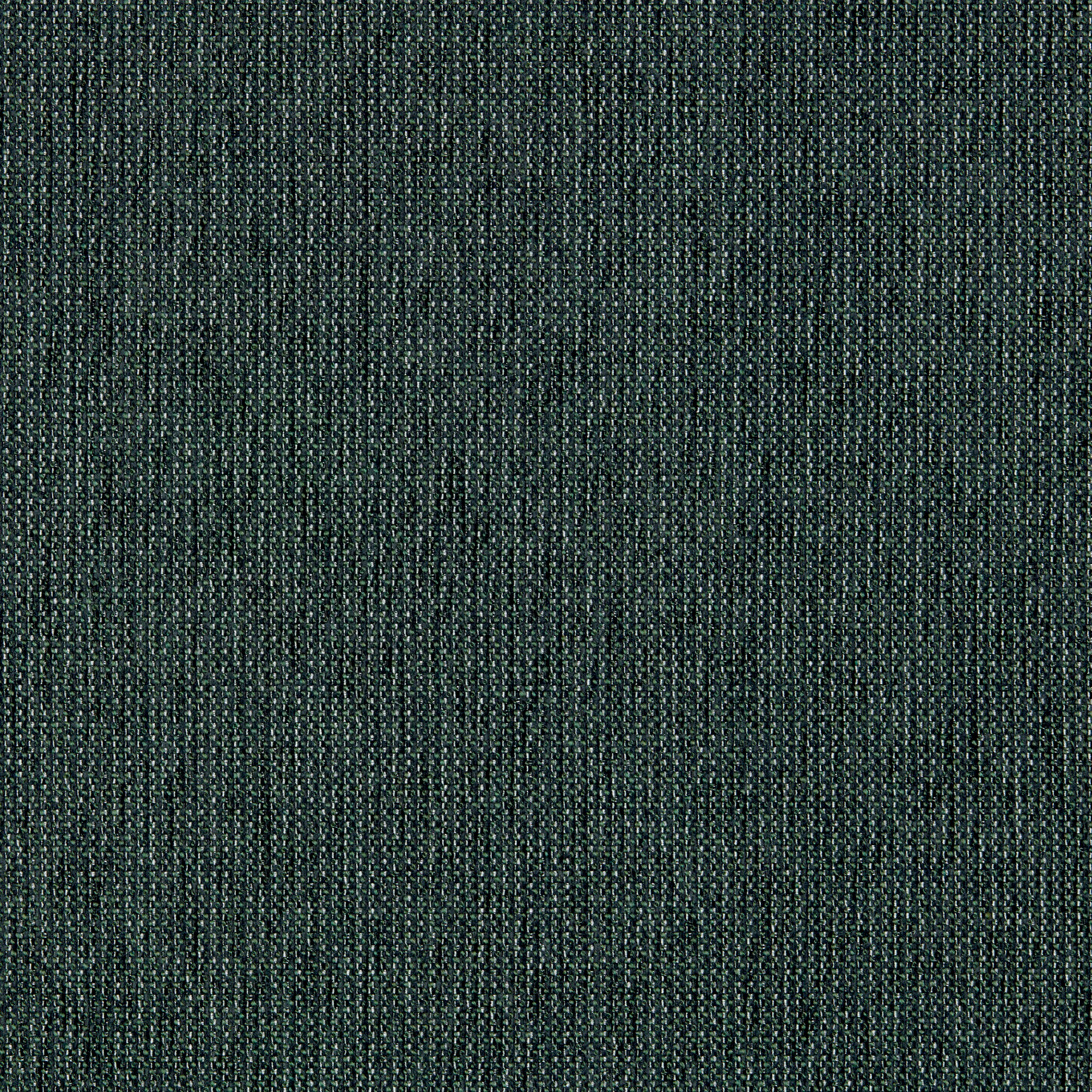 Foliage