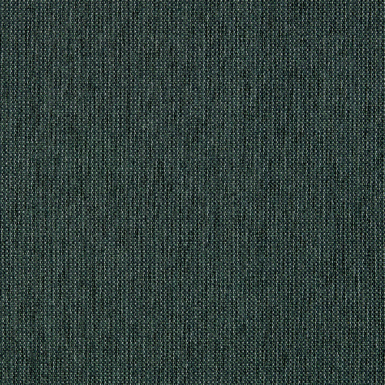 Foliage