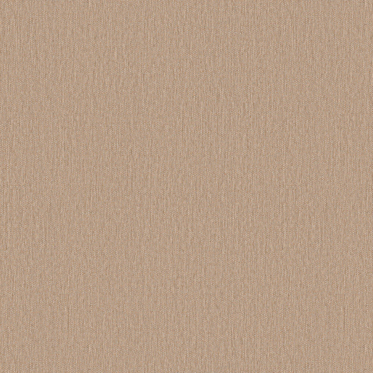 Ambrosia