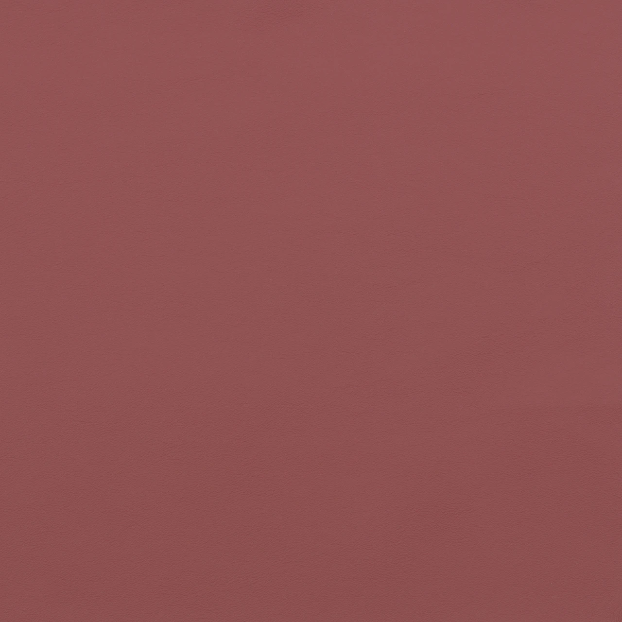 Raspberry