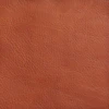 Saddlebag