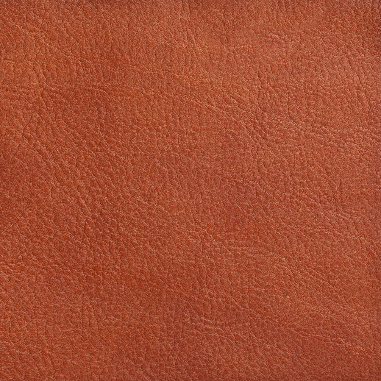 Saddlebag