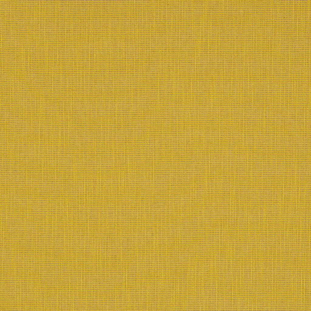 Forsythia