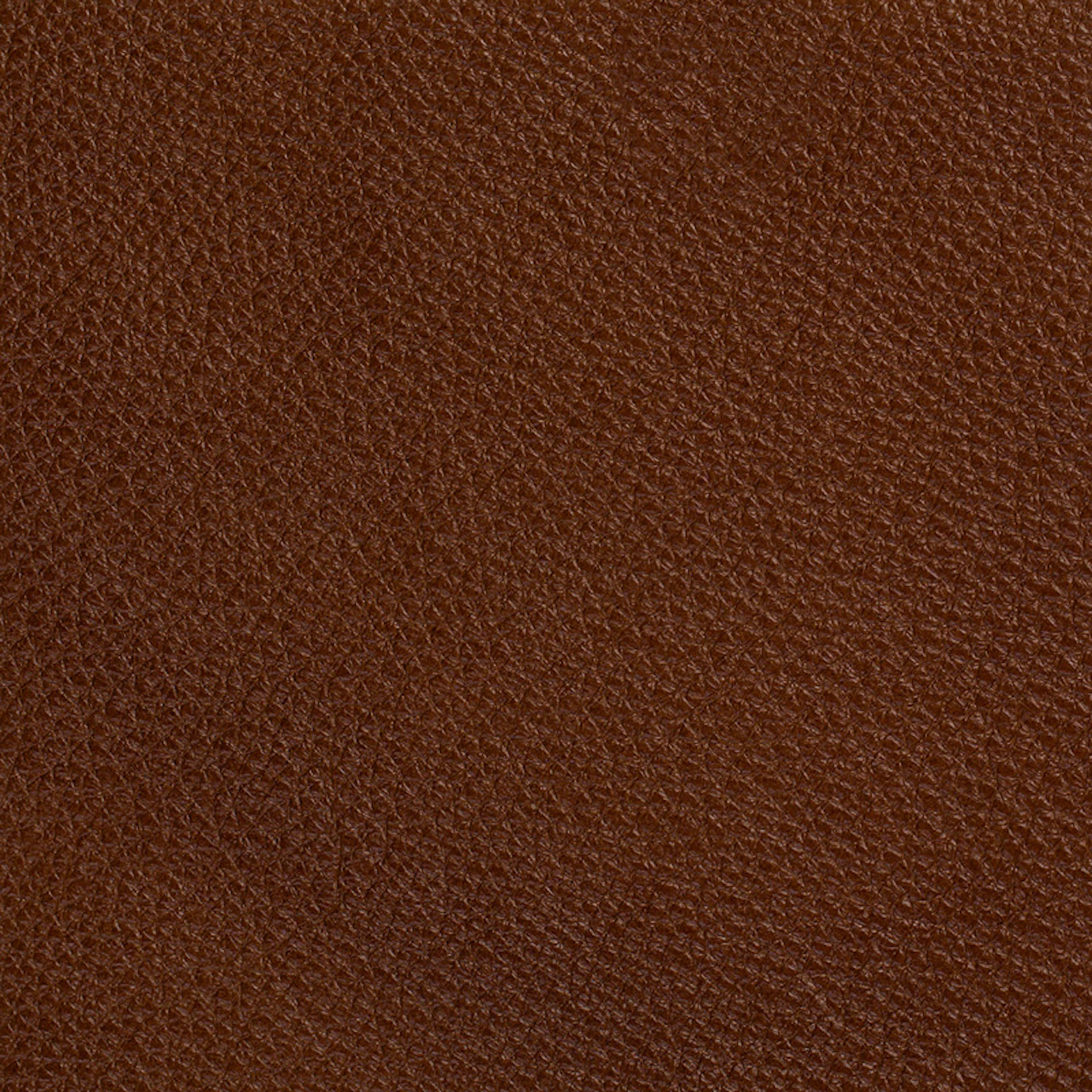Chestnut