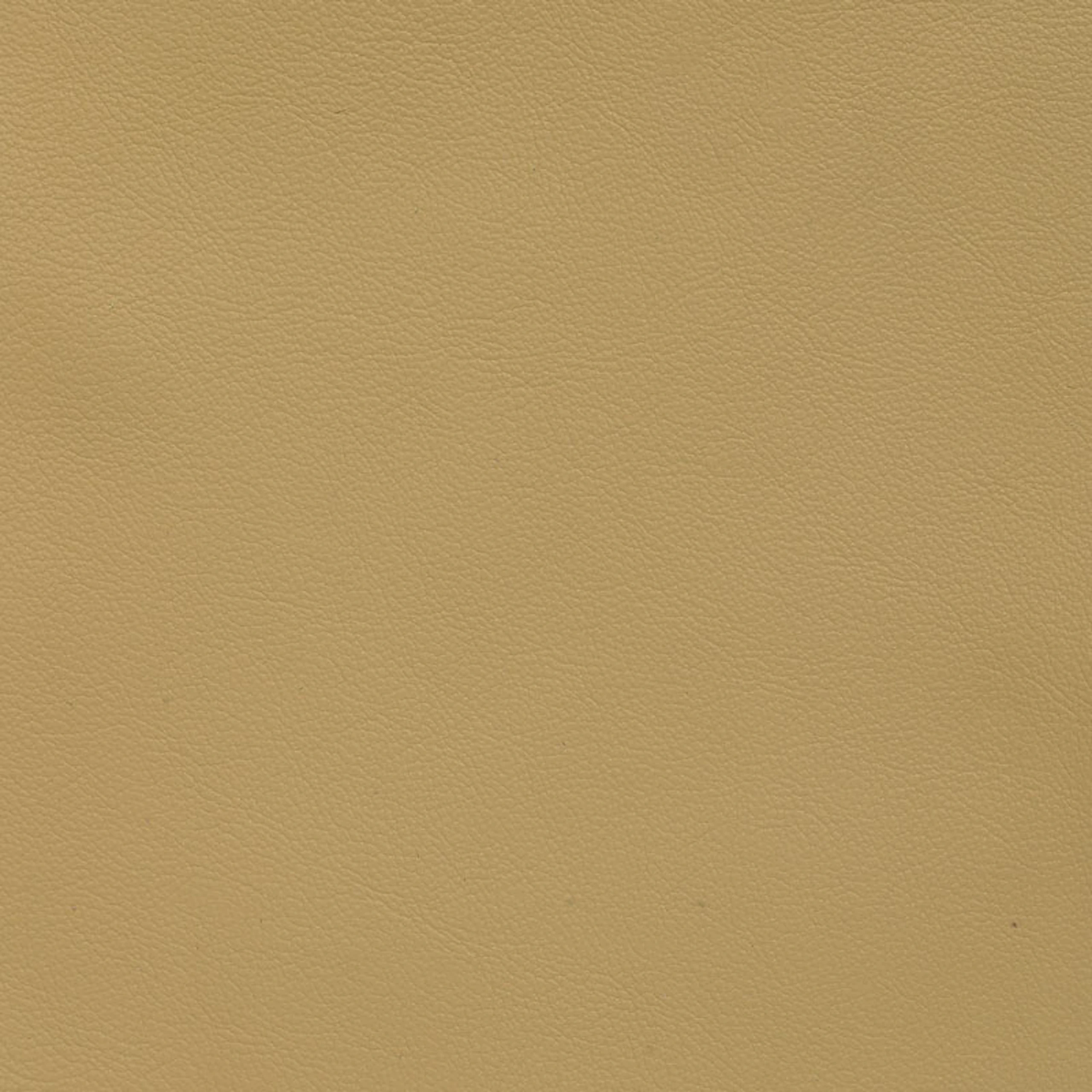 Balsa