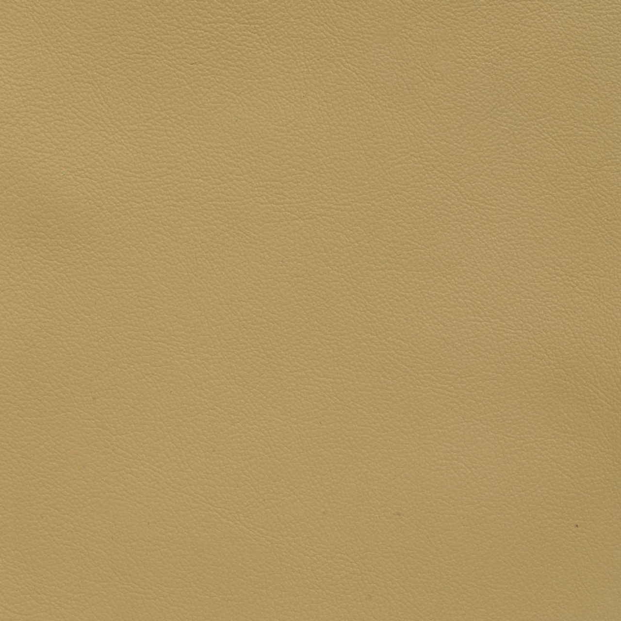 Balsa