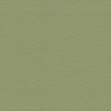 Chervil