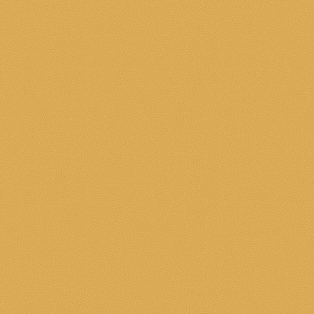 Maize