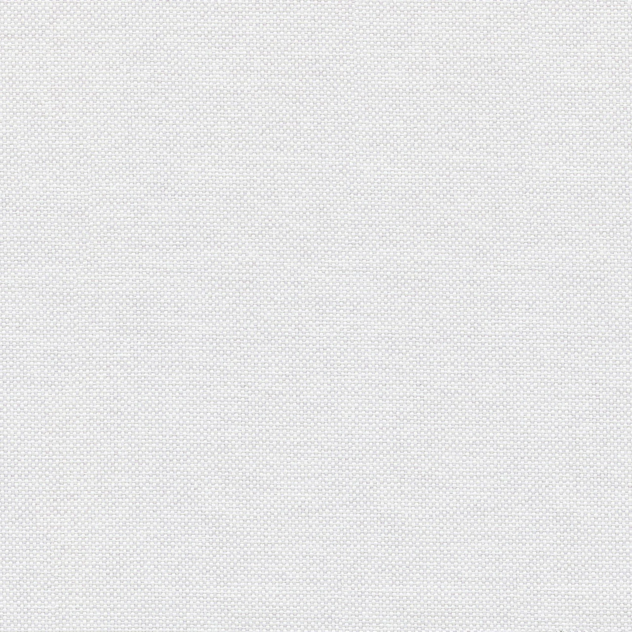 Moon Light