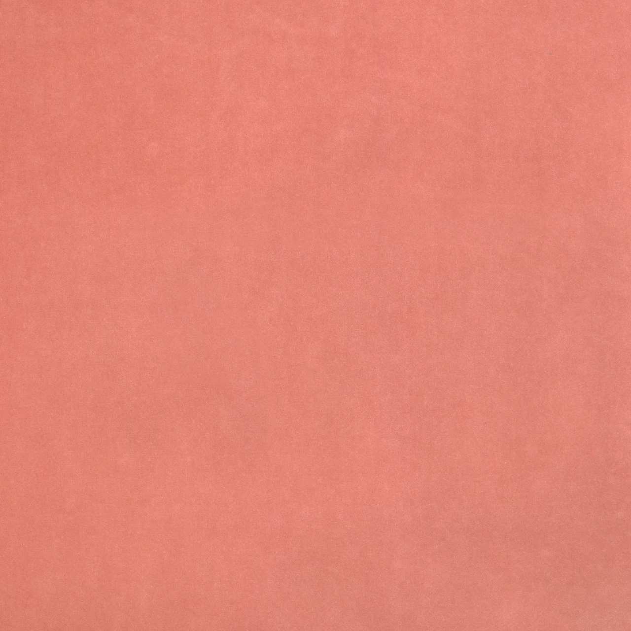 Rosebud