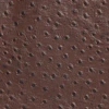 Mocha
