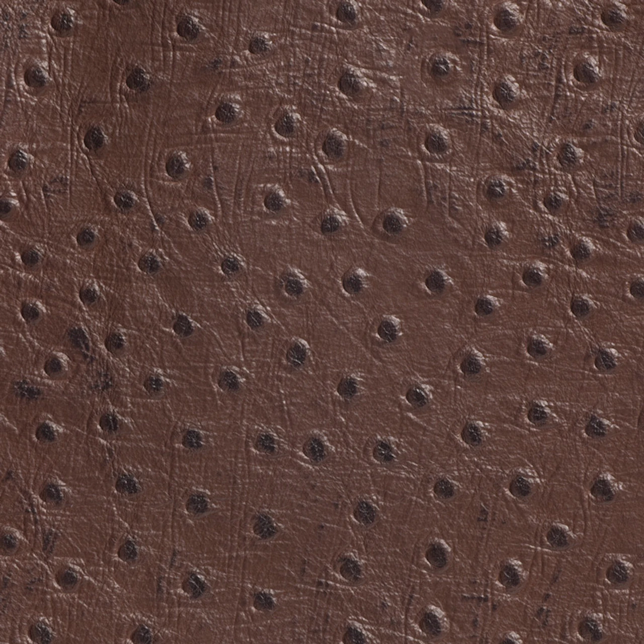 Mocha