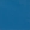 Blue Jay