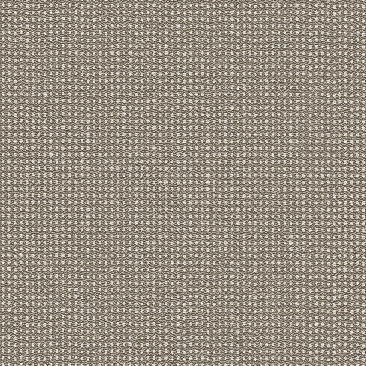 Sand Dune
