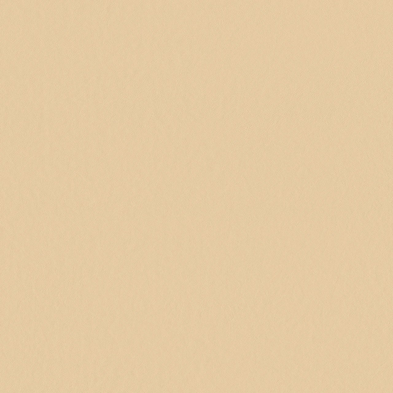 Satinwood