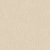 Limewash