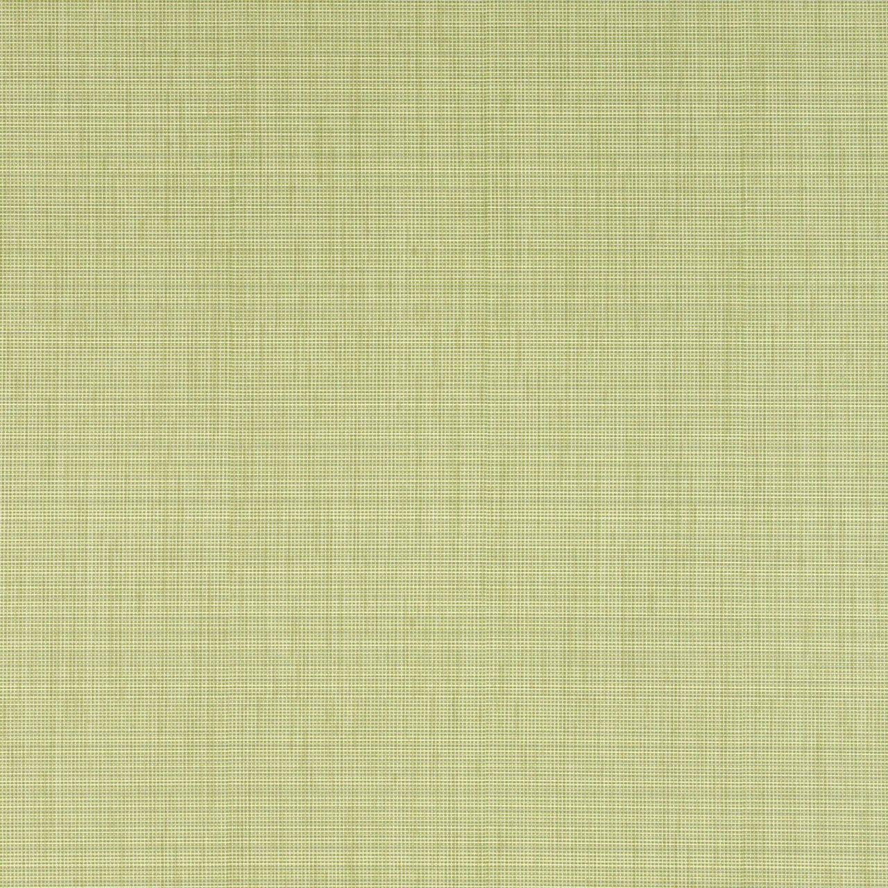 Dill