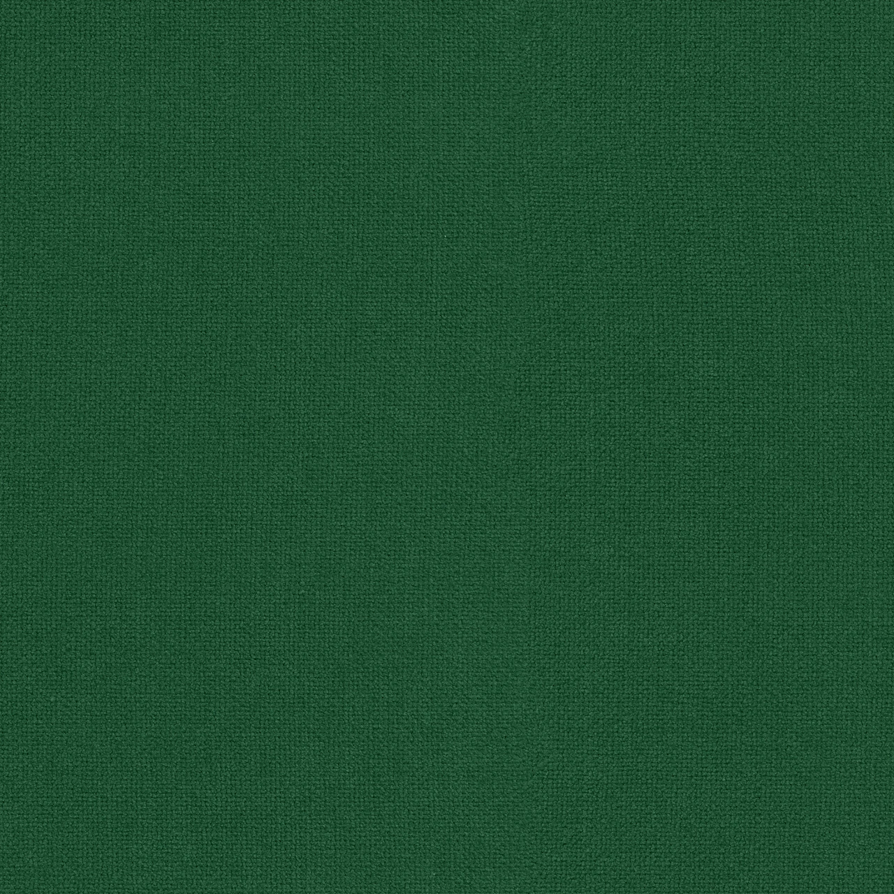 Reptile