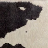 Black/white Cow Prin