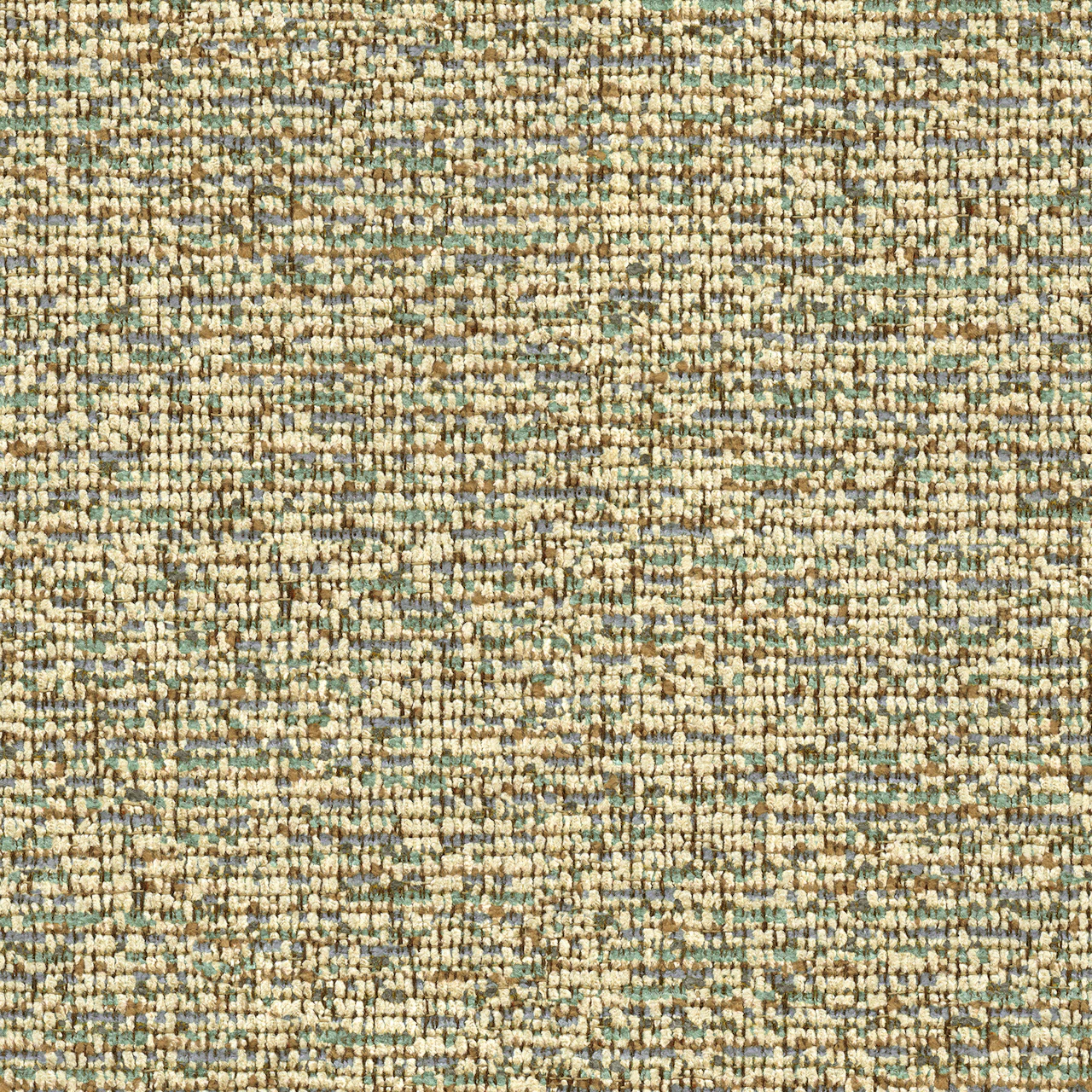 Oasis