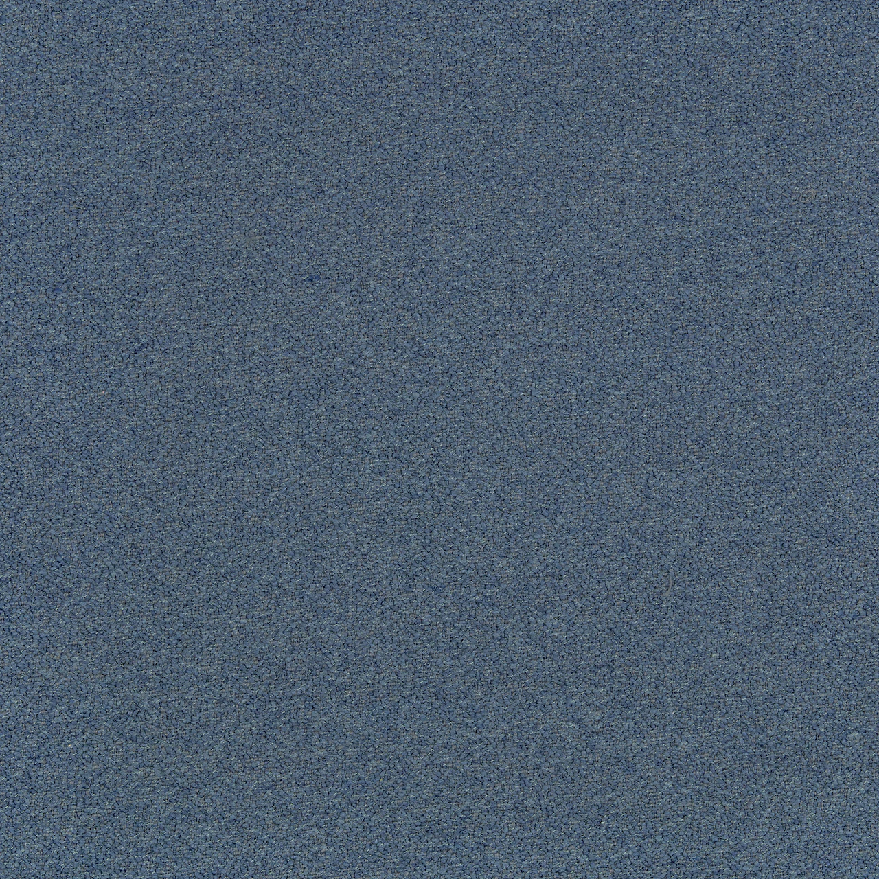 Bluefish