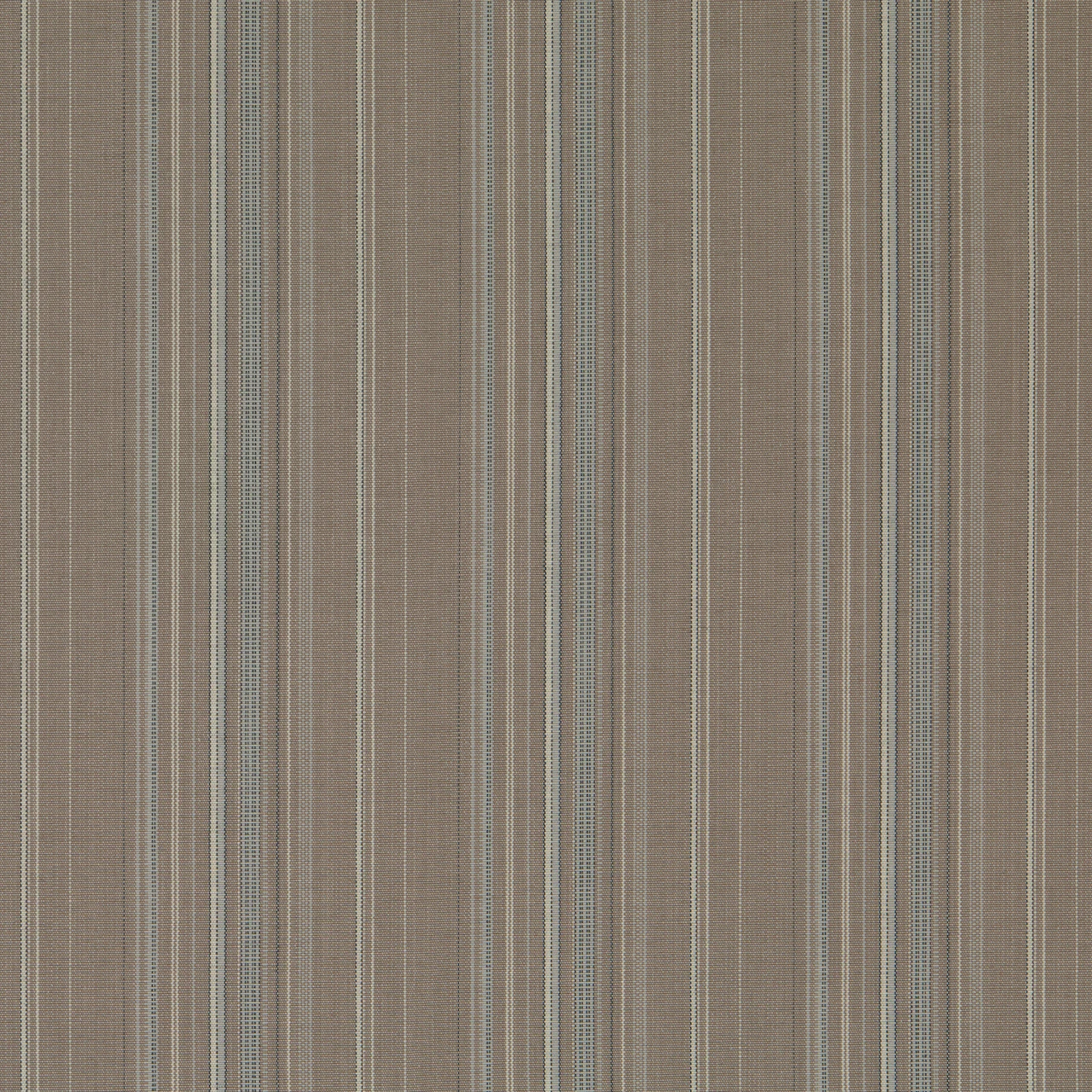 Steppe
