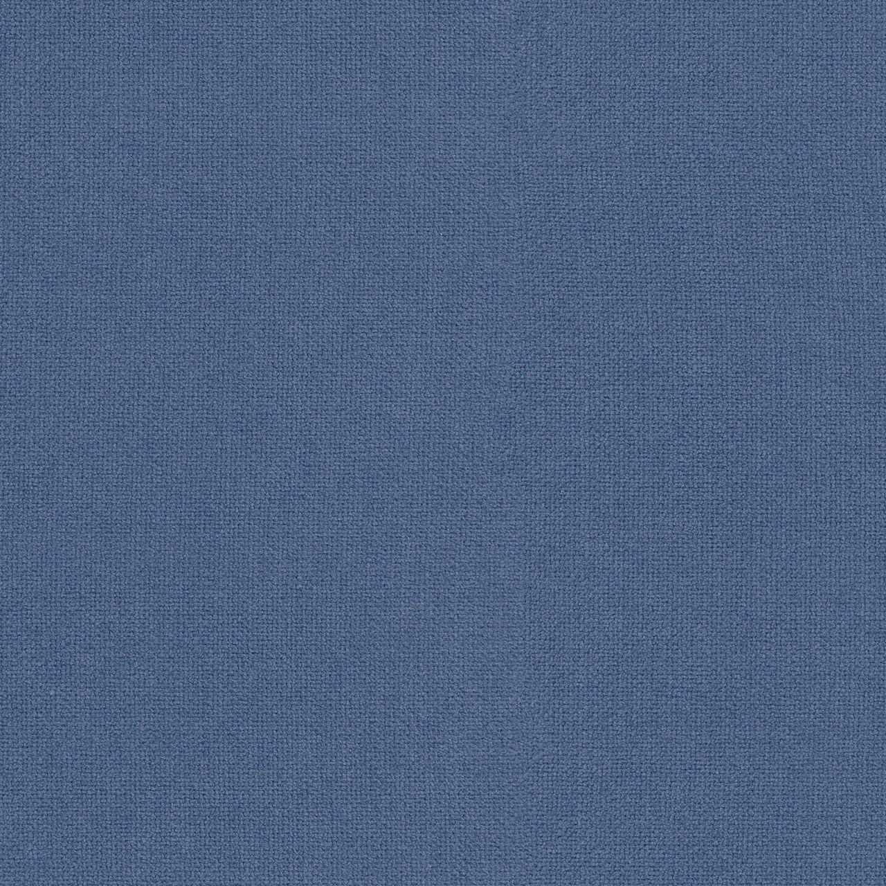 Blue Jay