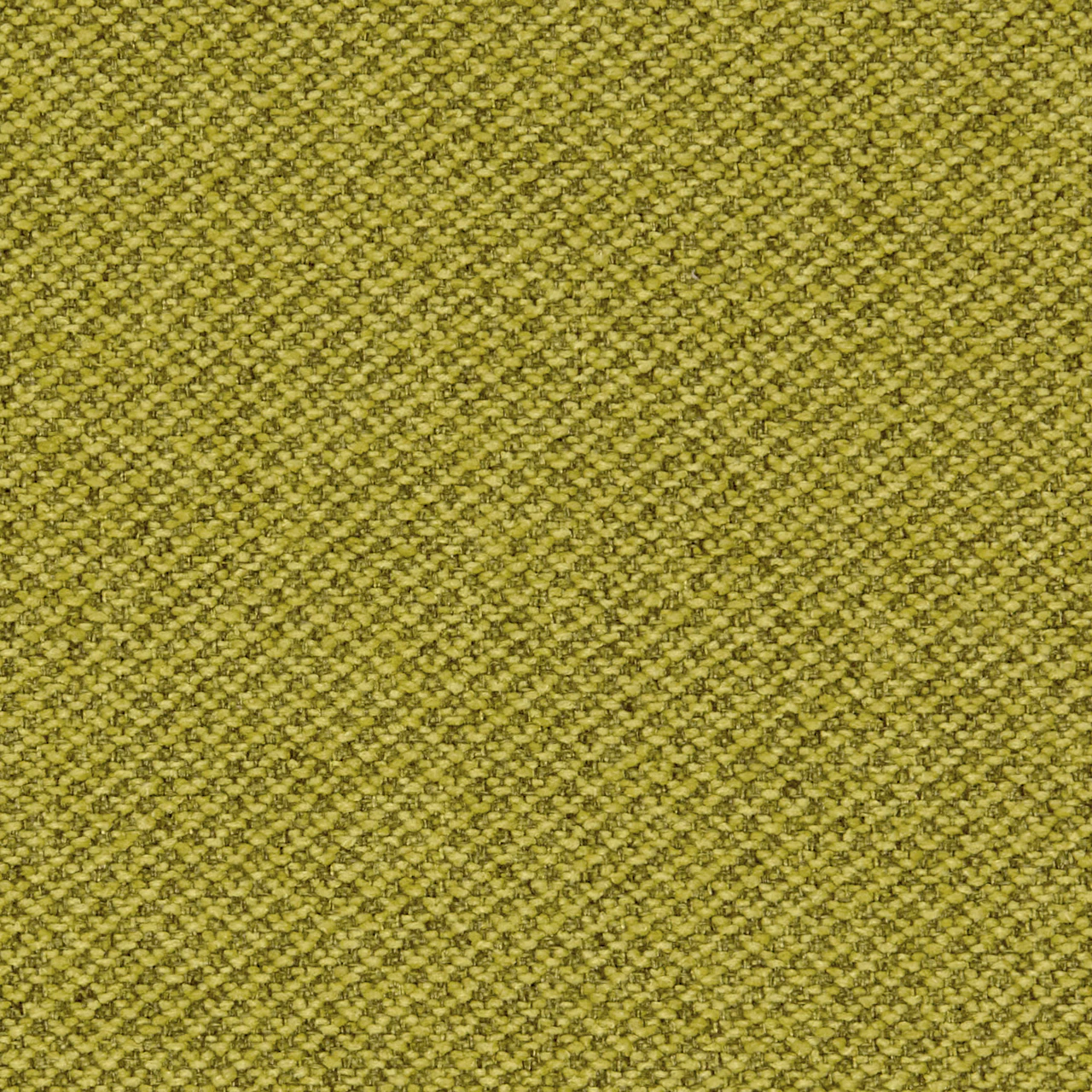 Lichen