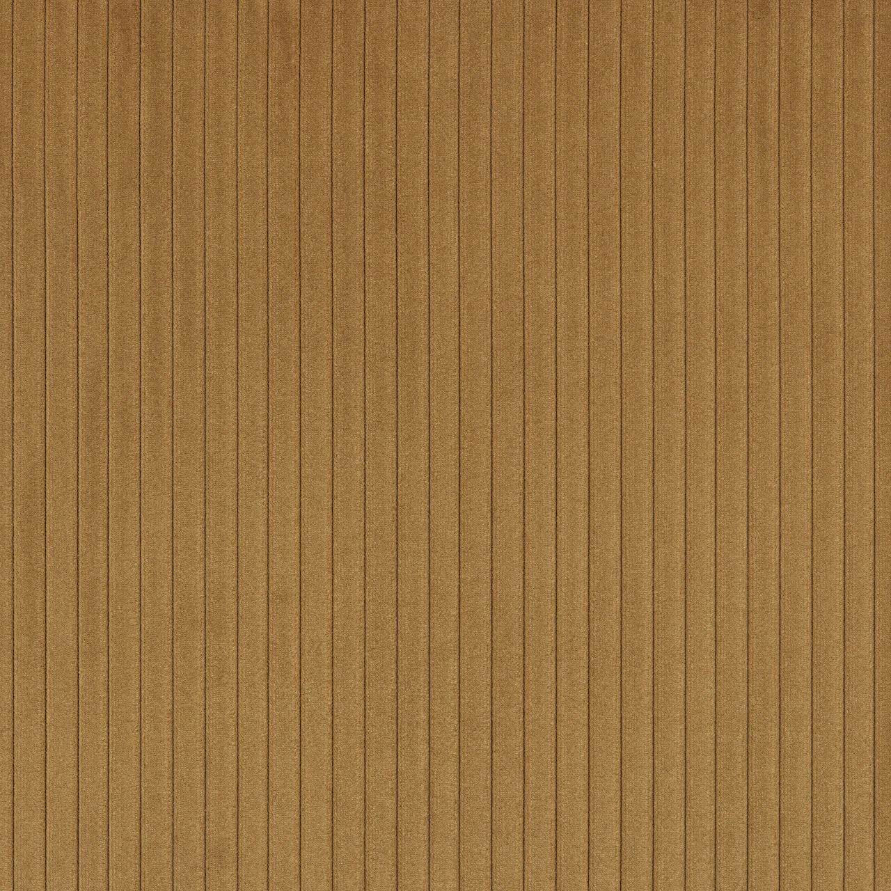 Maple