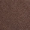 Malt