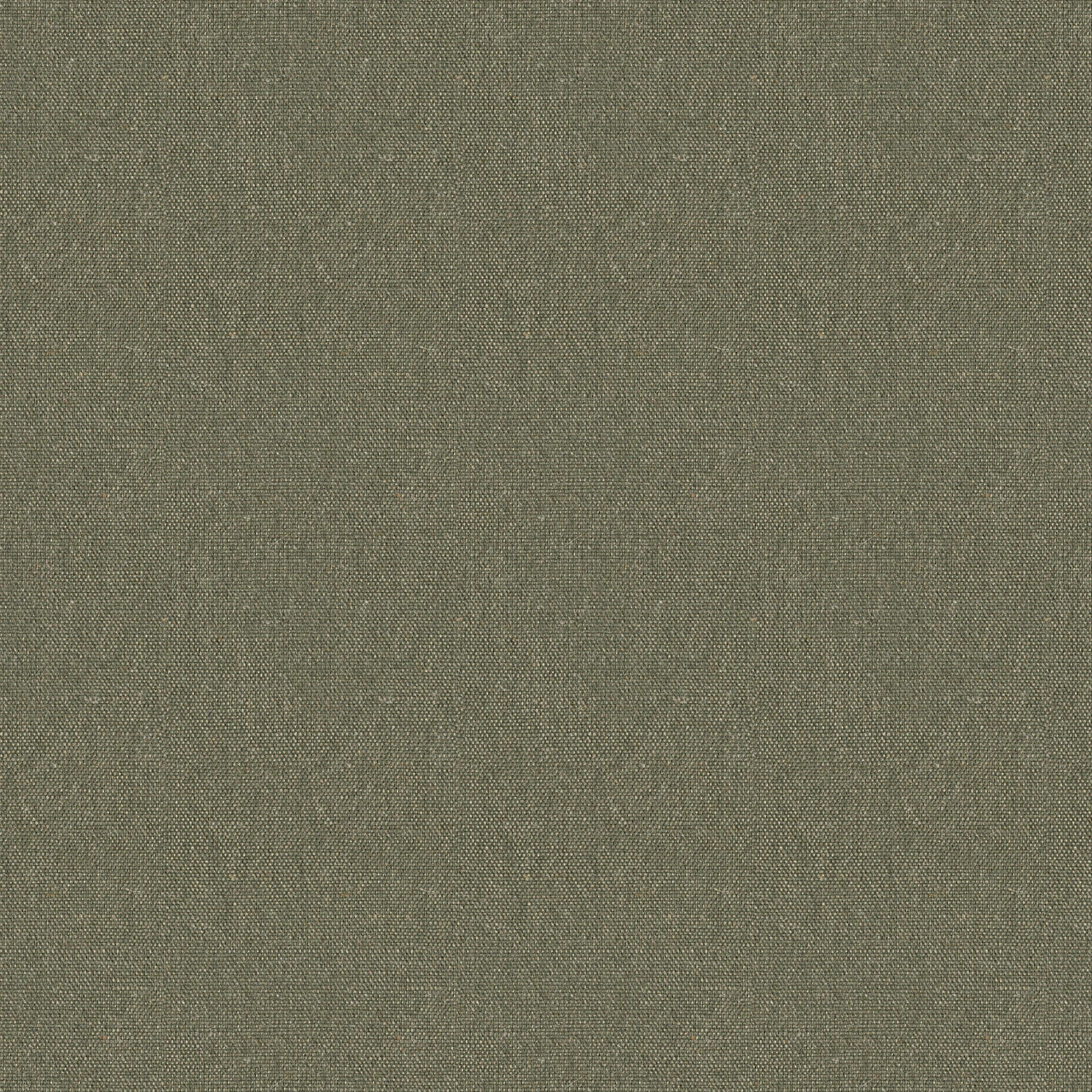 Spruce