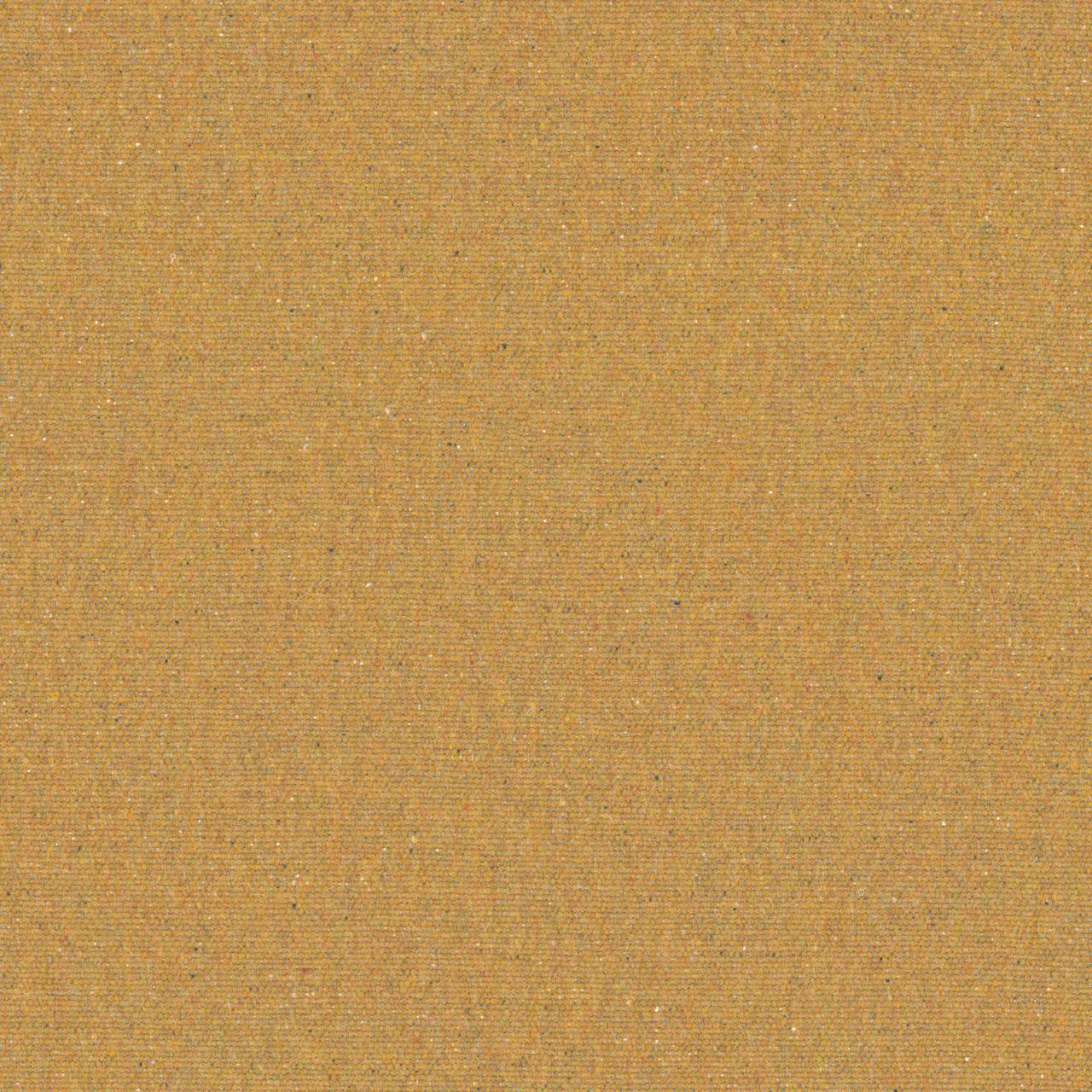 Butternut