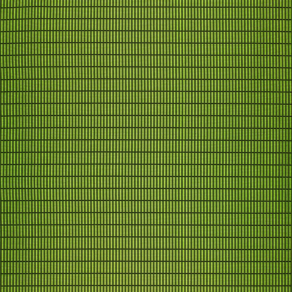 Sprout