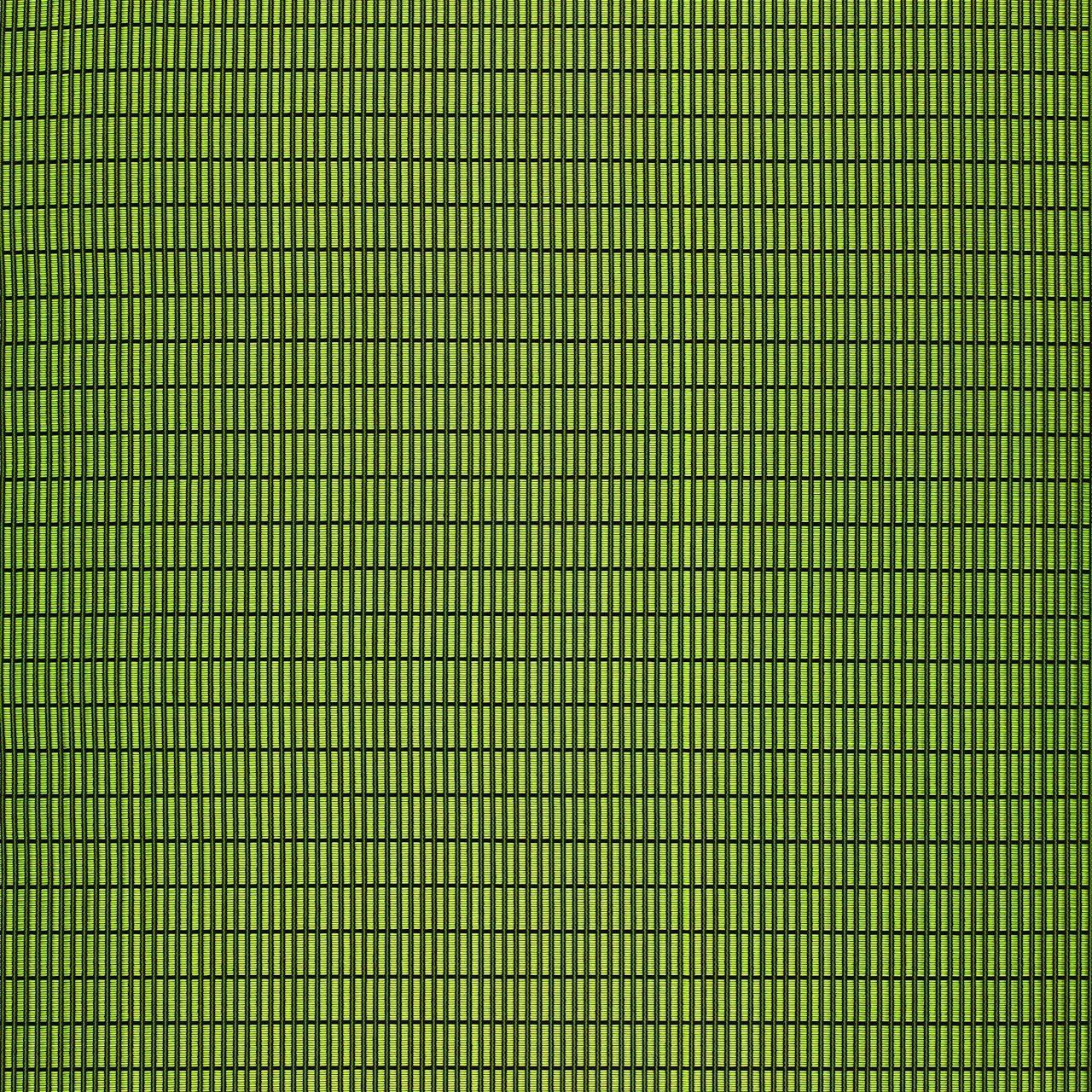 Sprout