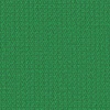 Fern
