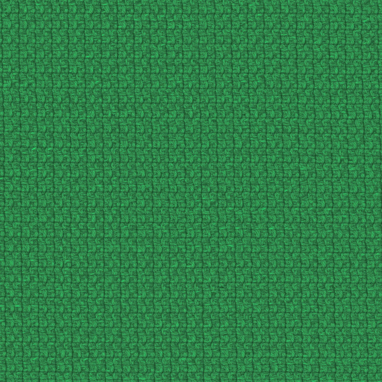 Fern