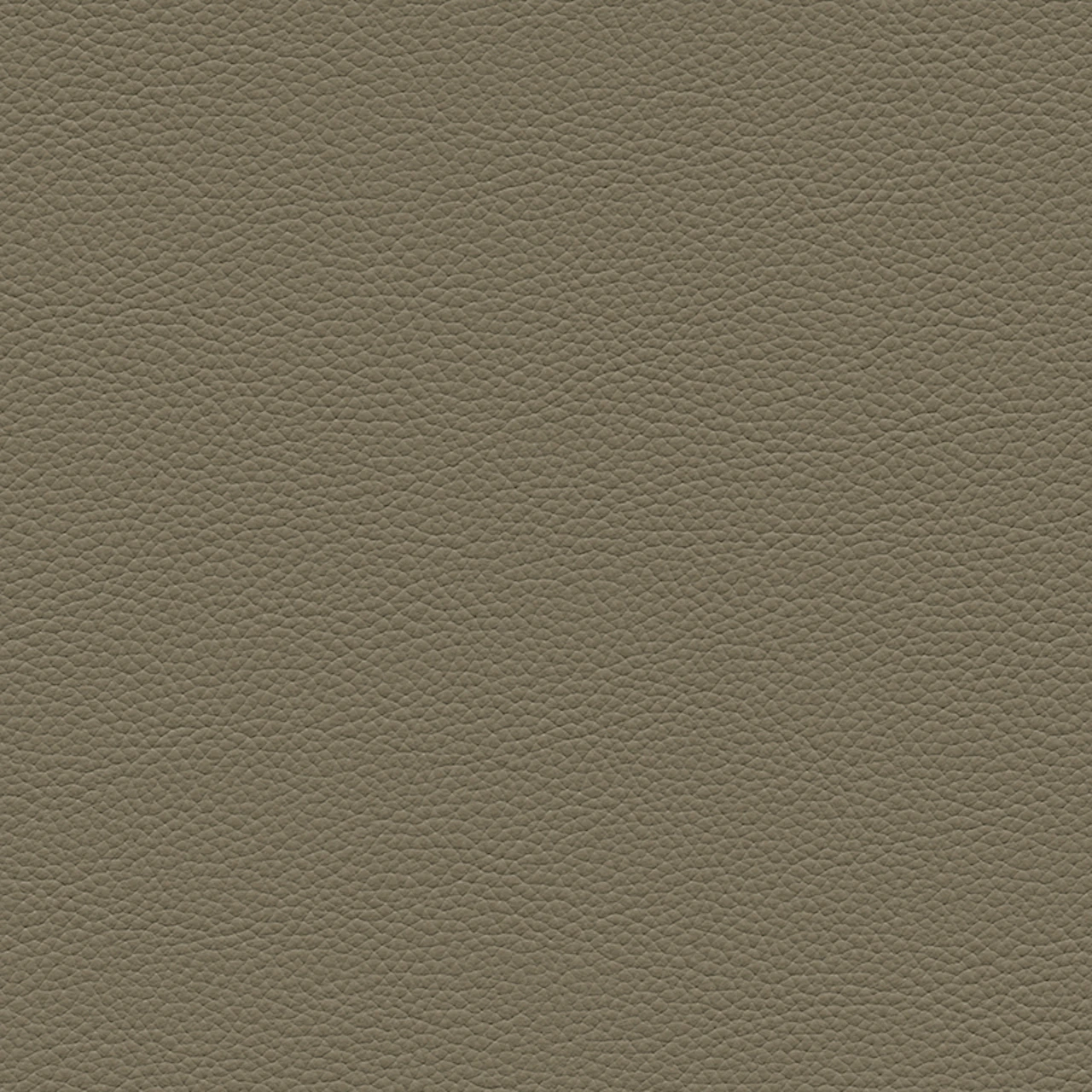 Sediment