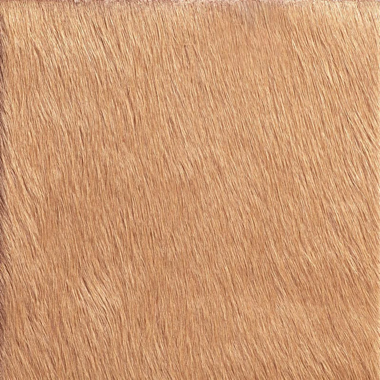 Cappucino