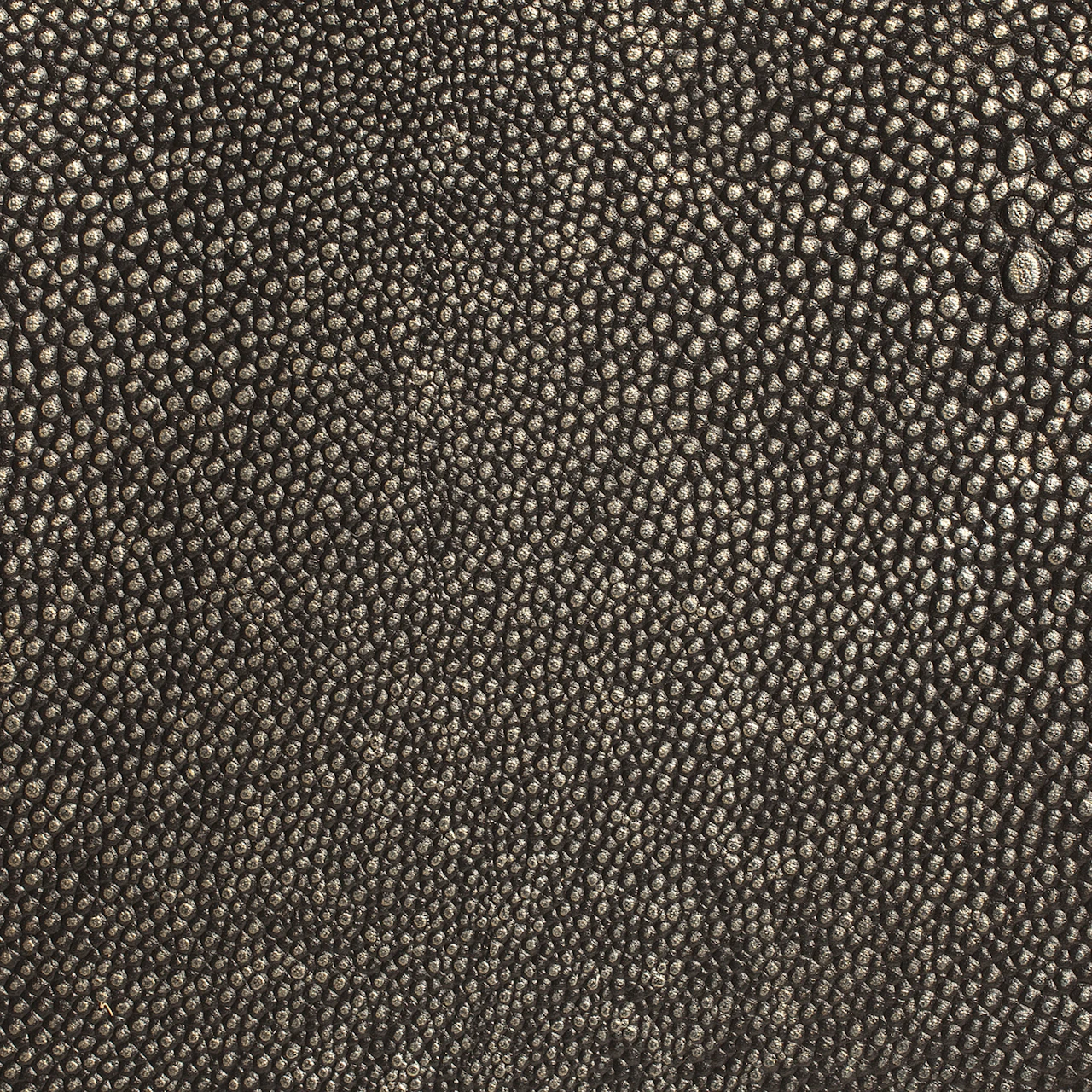 Caviar