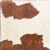 Brown/white Cow Prin
